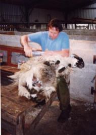 John clipping